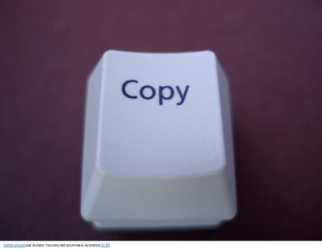 Copy